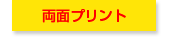 ���ʃv�����g